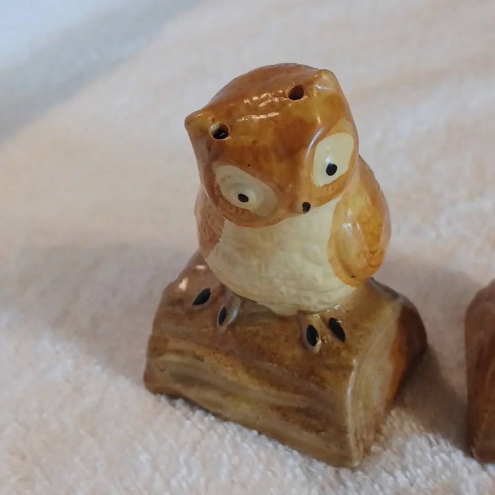 Owl salt and pepper shakers vintage kitchen decor
